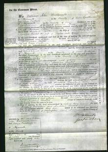 Court of Common Pleas - Rosalind Faulkner Shelly and Madeline Bartlet Yonge-Original Ancestry