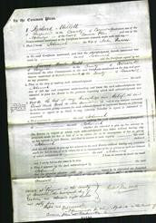 Court of Common Pleas - Johannah Penrose-Original Ancestry