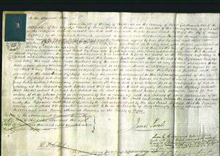 Court of Common Pleas - Sarah Bishopp-Original Ancestry