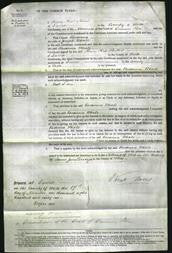 Court of Common Pleas - Rosanna Whale-Original Ancestry