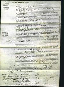 Court of Common Pleas - Betty Reffitt-Original Ancestry