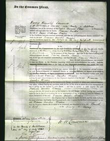 Court of Common Pleas - Frances Amelia Braine-Original Ancestry