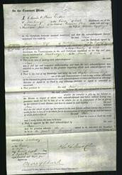 Court of Common Pleas - Jane Applegate-Original Ancestry