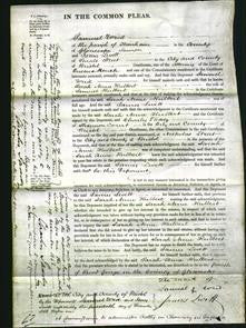 Court of Common Pleas - Sarah Anne Hulbert-Original Ancestry