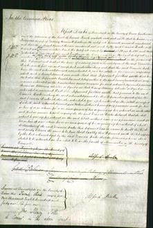 Court of Common Pleas - Frances Drake-Original Ancestry