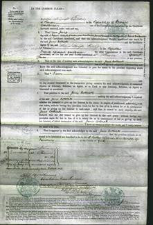 Court of Common Pleas - Jane Colbeck-Original Ancestry