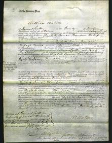 Court of Common Pleas - Elizabeth Leamen Thompson-Original Ancestry