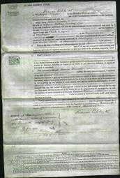 Court of Common Pleas - Louisa Emma Loveday-Original Ancestry