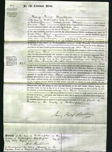 Court of Common Pleas - Alice Blunt-Original Ancestry