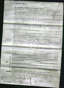 Court of Common Pleas - Louisa Archer-Original Ancestry