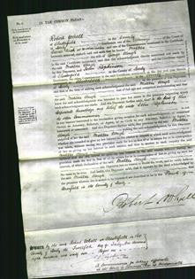 Court of Common Pleas - Matilda Clough-Original Ancestry