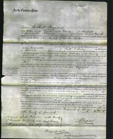 Court of Common Pleas - Ann Tucker-Original Ancestry