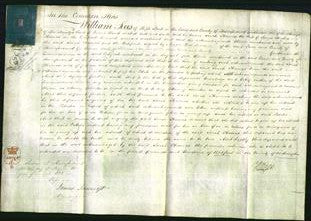 Court of Common Pleas - Sarah Thomas-Original Ancestry