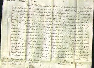 Court of Common Pleas - Rachel Taylor-Original Ancestry