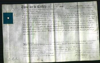 Deed by Married Women - Anne Everett, Jane Willingham-Original Ancestry