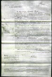 Court of Common Pleas - Celina Flower #9-Original Ancestry