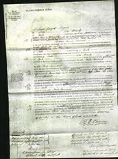 Court of Common Pleas - Phebe Taurant-Original Ancestry
