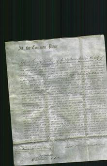Court of Common Pleas - Caroline Martha Cousins-Original Ancestry