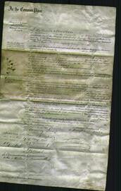 Court of Common Pleas - Mary Smith-Original Ancestry