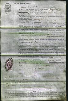 Court of Common Pleas - Elizabeth Sarah Fairbrother-Original Ancestry