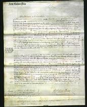 Court of Common Pleas - Elizabeth Hoffmeister, Ann Hoffmeister and Elizabeth Hoffmeister-Original Ancestry