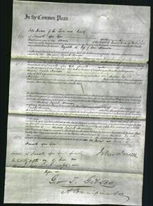 Court of Common Pleas - Elizabeth Adamson-Original Ancestry