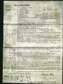 Court of Common Pleas - Sophia Griffith-Original Ancestry