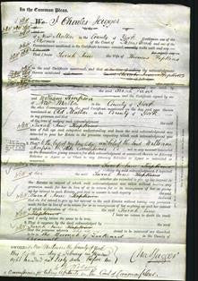 Court of Common Pleas - Sarah Jane Hopkins-Original Ancestry