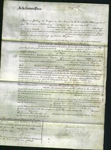 Court of Common Pleas - Margaret Higham-Original Ancestry