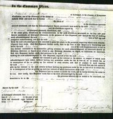 Court of Common Pleas - Ann Froes-Original Ancestry