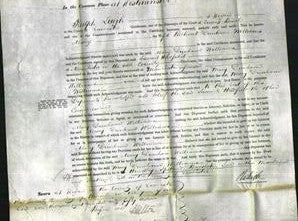 Court of Common Pleas - Mary Williams-Original Ancestry