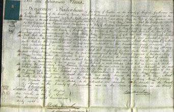 Court of Common Pleas - Mary Ann Gardener-Original Ancestry