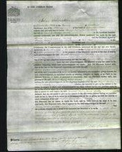 Court of Common Pleas - Harriet Fanny Annie Haddy-Original Ancestry