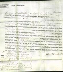 Court of Common Pleas - Mary Hayward-Original Ancestry