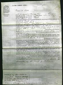 Court of Common Pleas - Sarah May-Original Ancestry