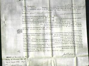 Court of Common Pleas - Jane Brown-Original Ancestry