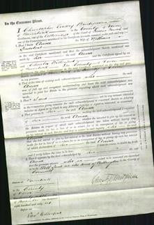 Court of Common Pleas - Anna Leadstone-Original Ancestry