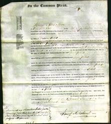 Court of Common Pleas - Jane Pettit-Original Ancestry