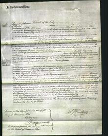 Court of Common Pleas - Elizabeth Williams-Original Ancestry