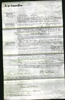 Court of Common Pleas - Ann Baker-Original Ancestry