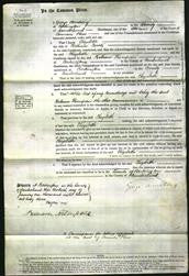 Court of Common Pleas - Eliabeth Luvik-Original Ancestry