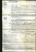 Court of Common Pleas - Ellen Bourn and Elizabeth Liddle-Original Ancestry