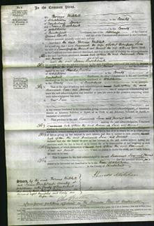 Court of Common Pleas - Susannah Thompson, Jane Hamnett and Harriet Tyson-Original Ancestry