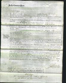 Court of Common Pleas - Ellen Brown-Original Ancestry