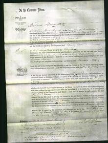 Court of Common Pleas - Louisa Mary Trecourt-Original Ancestry