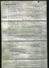 Court of Common Pleas - Mary Ann Batindine-Original Ancestry