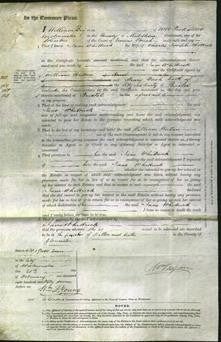 Court of Common Pleas - Jane Whittuck-Original Ancestry