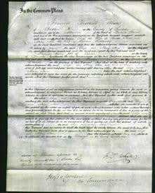 Court of Common Pleas - Eliza Twist and Mary Ann Bothamley-Original Ancestry