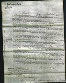 Court of Common Pleas - Ann Lindall-Original Ancestry