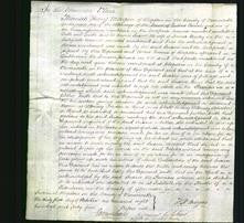 Court of Common Pleas - Susan Bailey-Original Ancestry